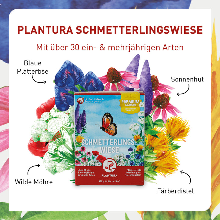 Blumenarten in der Plantura Schmetterlingswiese