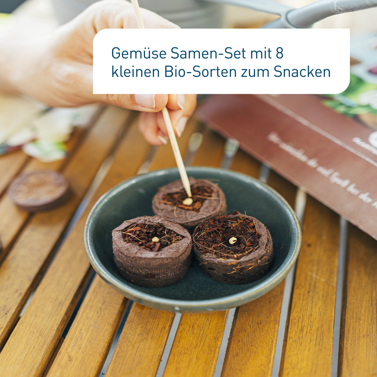 Set zur Aussaat von Balkongemüse