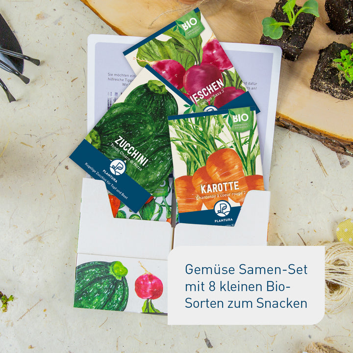 Set zur Aussaat von Balkongemüse