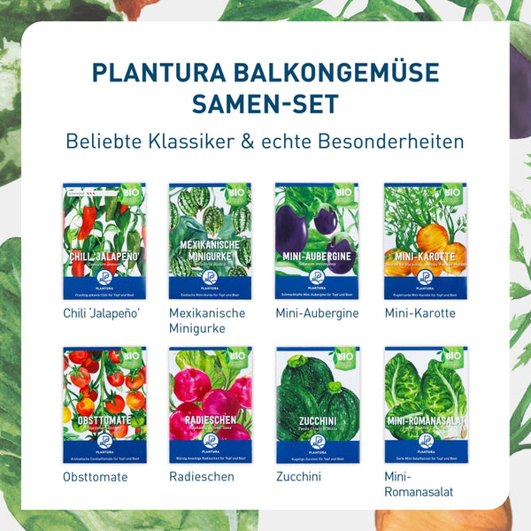 Balkongemüse-Set mit Bio-Sorten