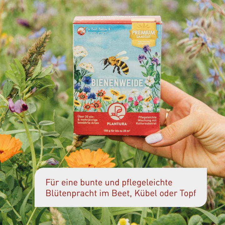 Bienenweide Saatgut für Balkon Beet und Terrasse