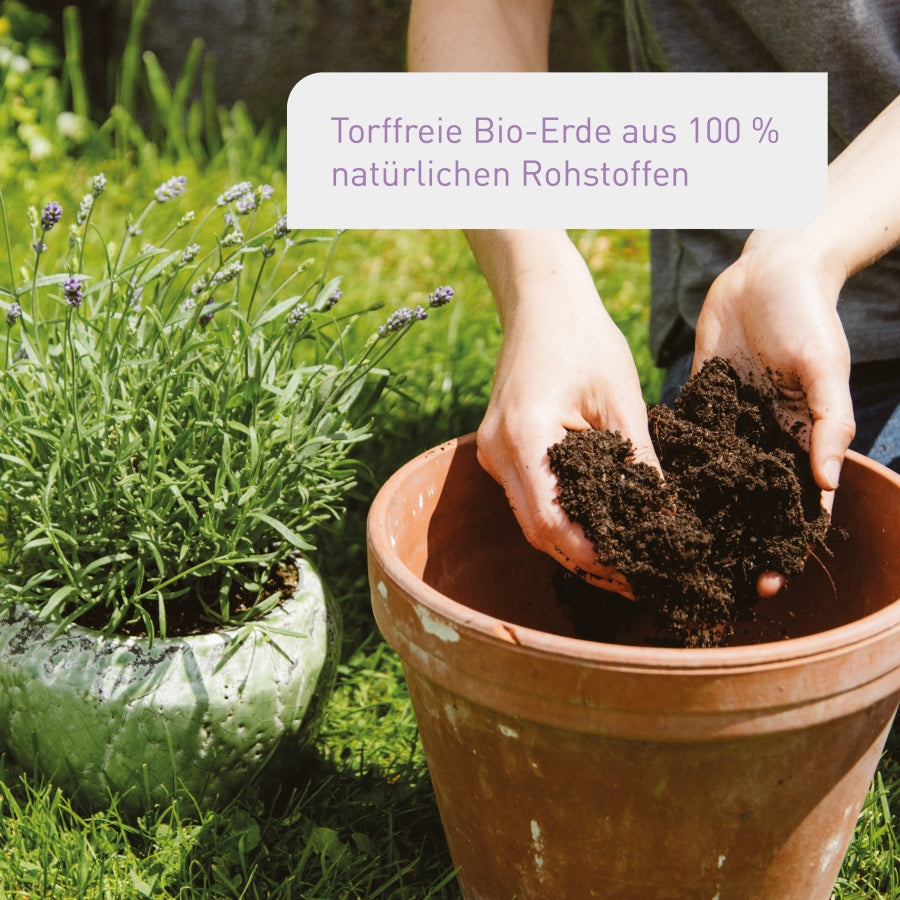 Torffreie Bio-zertifizierte Anzuchterde