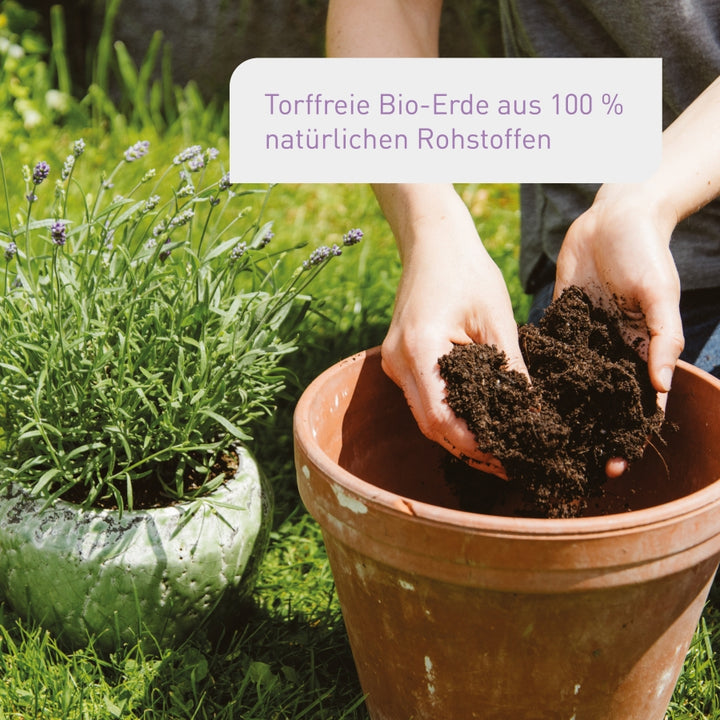 Torffreie Bio-zertifizierte Anzuchterde