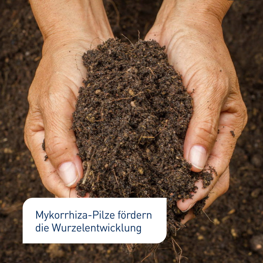 Bodenaktivator mit Mykorrhiza Pilze