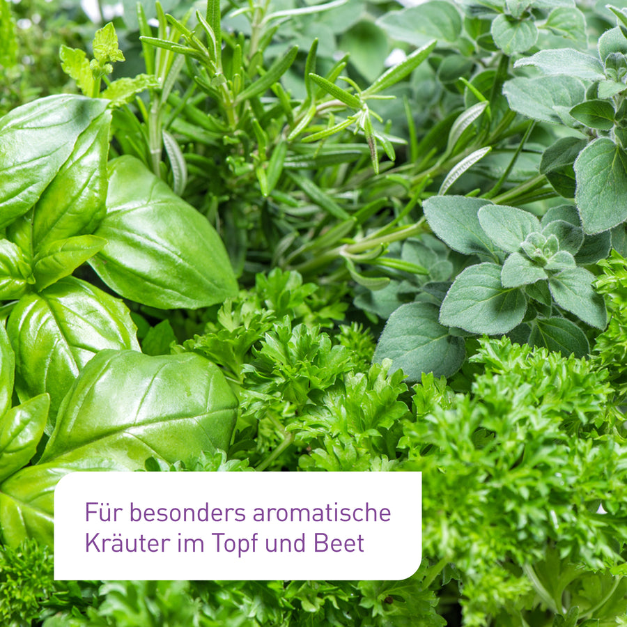 Bio-Kräutererde für aromatische Kräuter