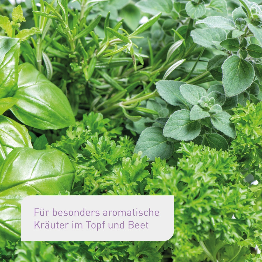 Bio-Kräutererde für aromatische Kräuter