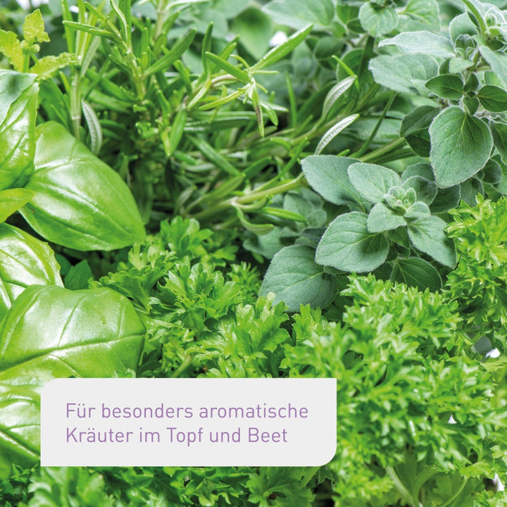 Bio-Kräutererde für aromatische Kräuter