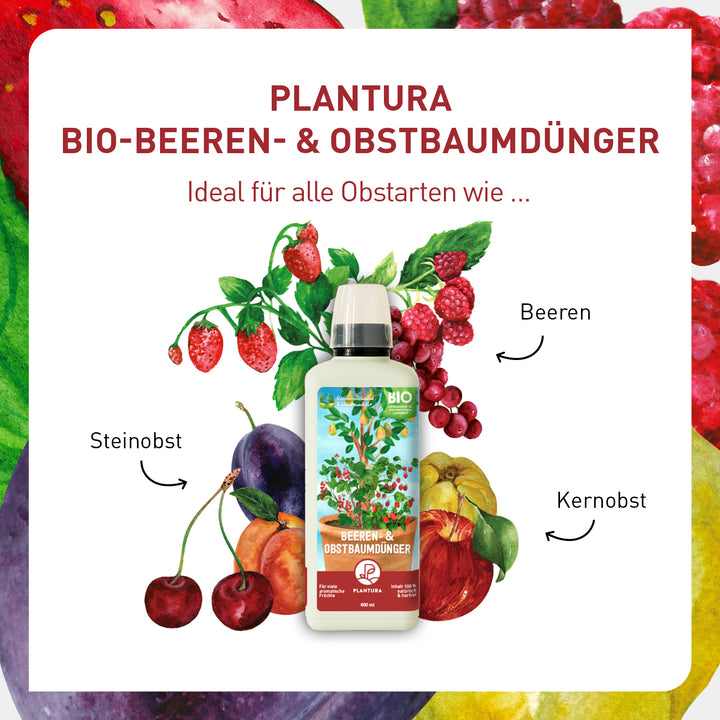Bio-Flüssigdünger für Beeren und Obst