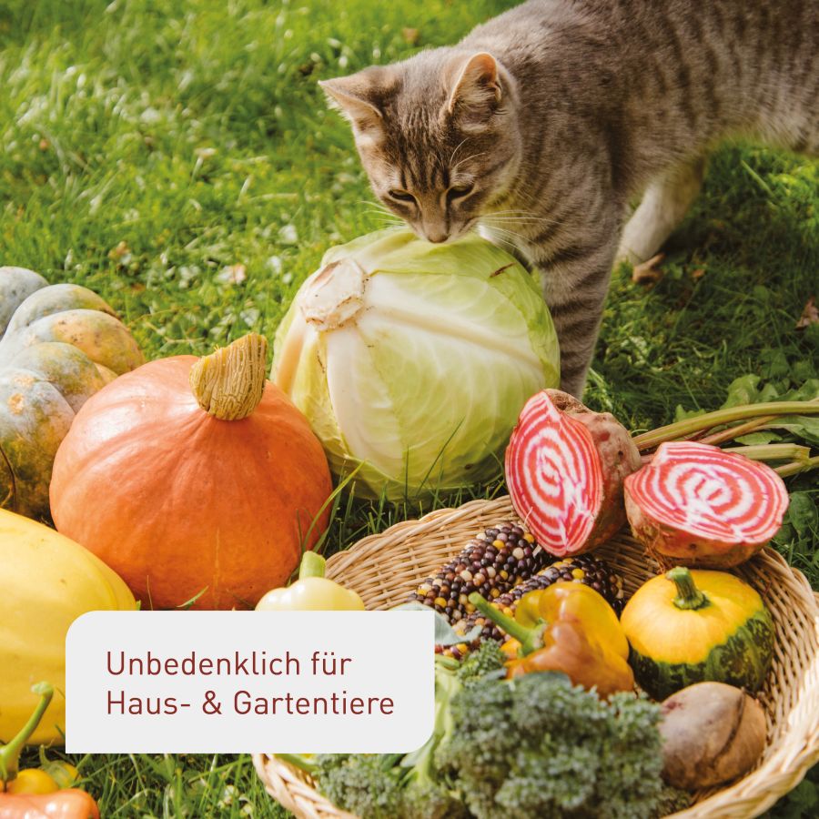 Plantura Bio-Hochbeeterde unbedenklich für Tiere