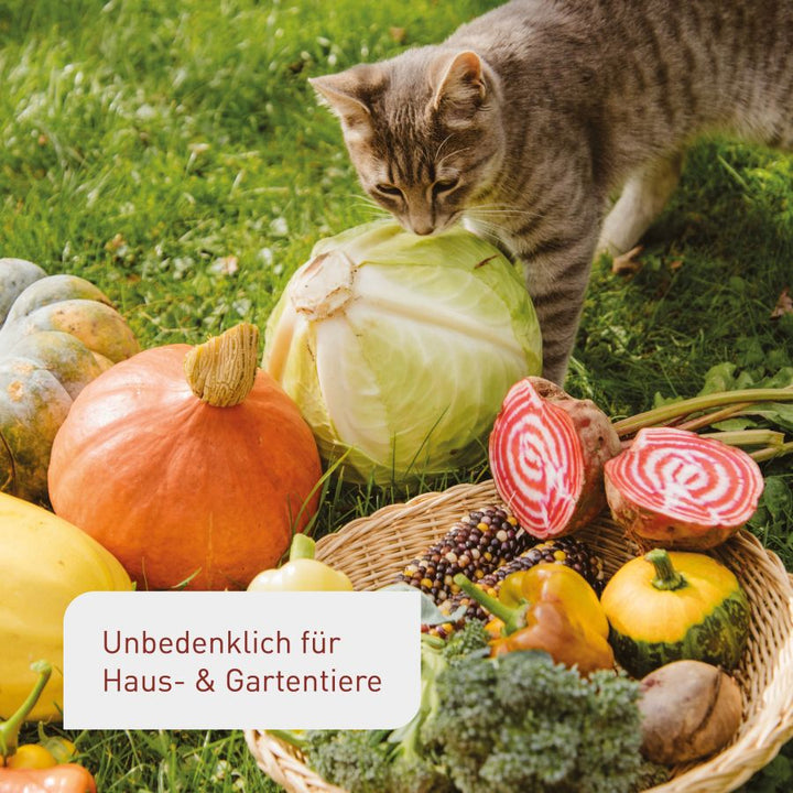 Plantura Bio-Hochbeeterde unbedenklich für Tiere