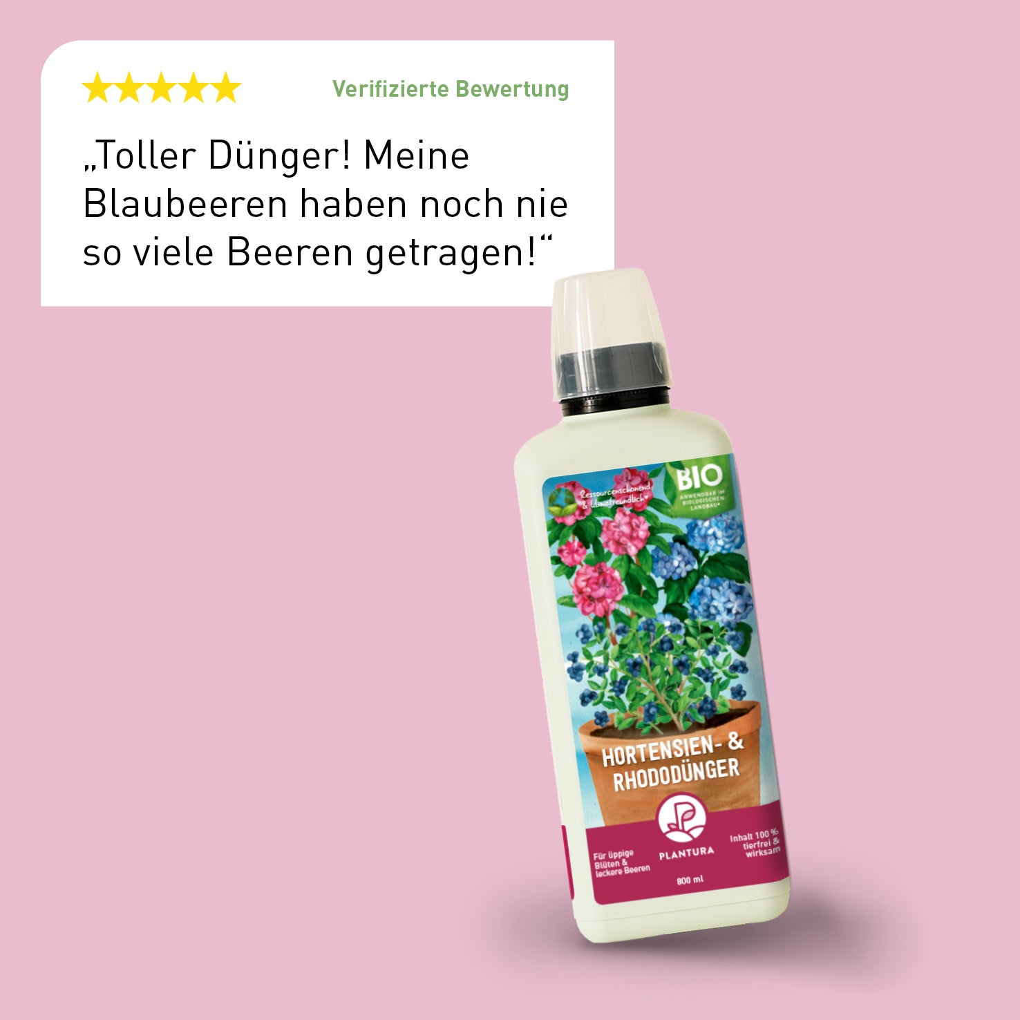 Bewertung des Plantura Hortensien-Flüssigdüngers