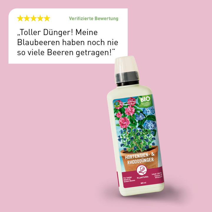 Bewertung des Plantura Hortensien-Flüssigdüngers