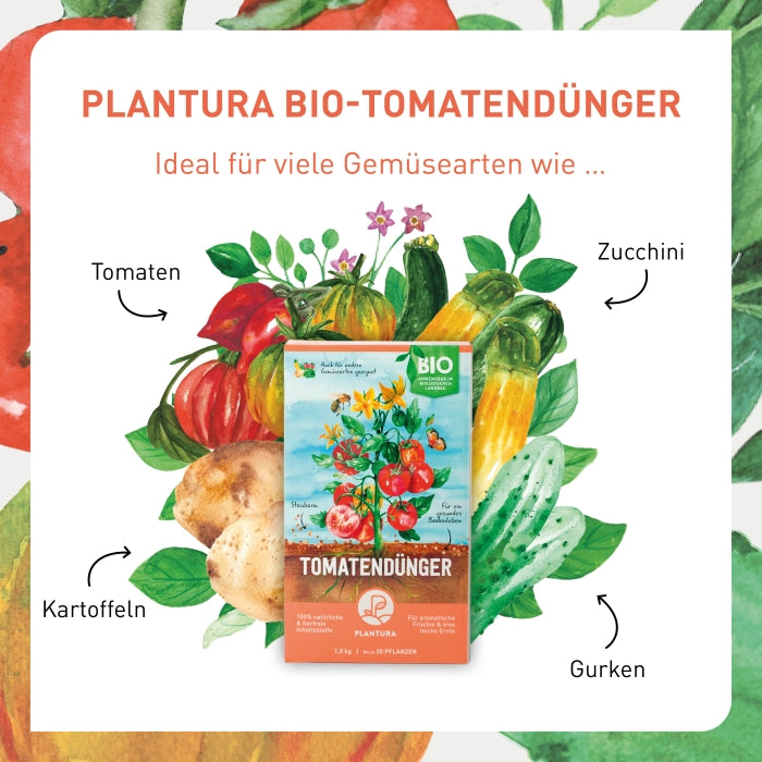Gpi Gärtner´s Biogarten Bio Kräuter + Tomatendünger - 1 Liter - Foto 3