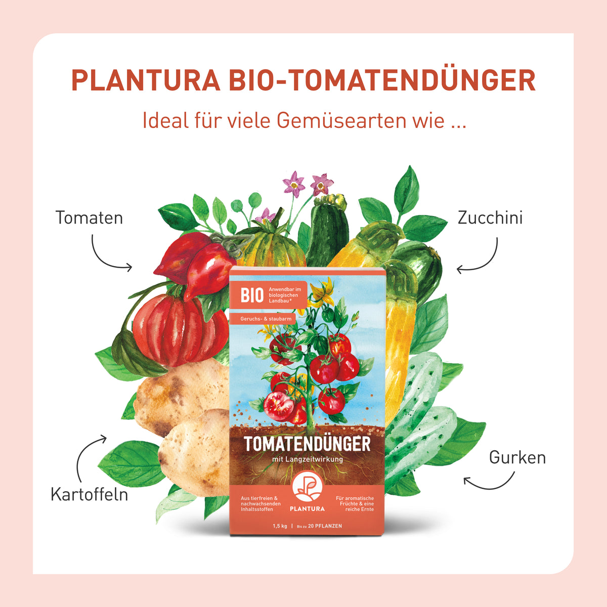 Tomatendünger für Gemüse