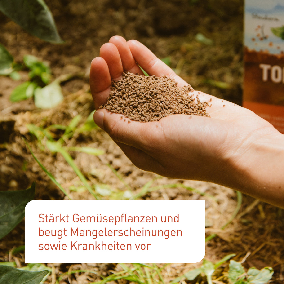Bio-Tomatendünger für starke Pflanzen