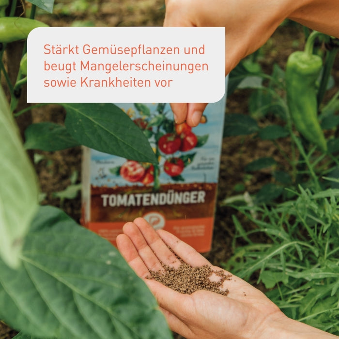 Bio-Tomatendünger für starke Pflanzen