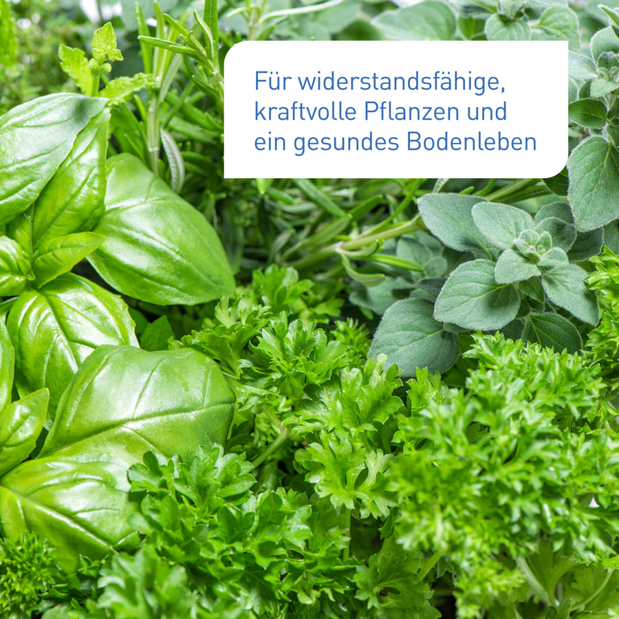 Ergebnis des Bio-Universaldüngers