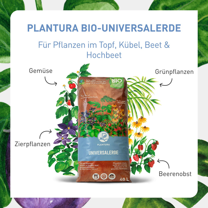 Universalerde für Zimmerpflanzen und Co.