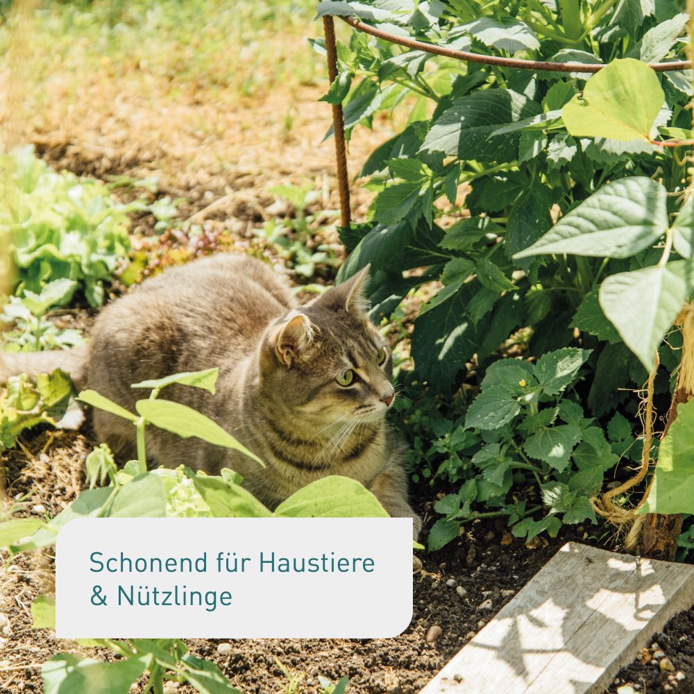 Schonendes Schneckenkorn für Haustiere und Nützlinge