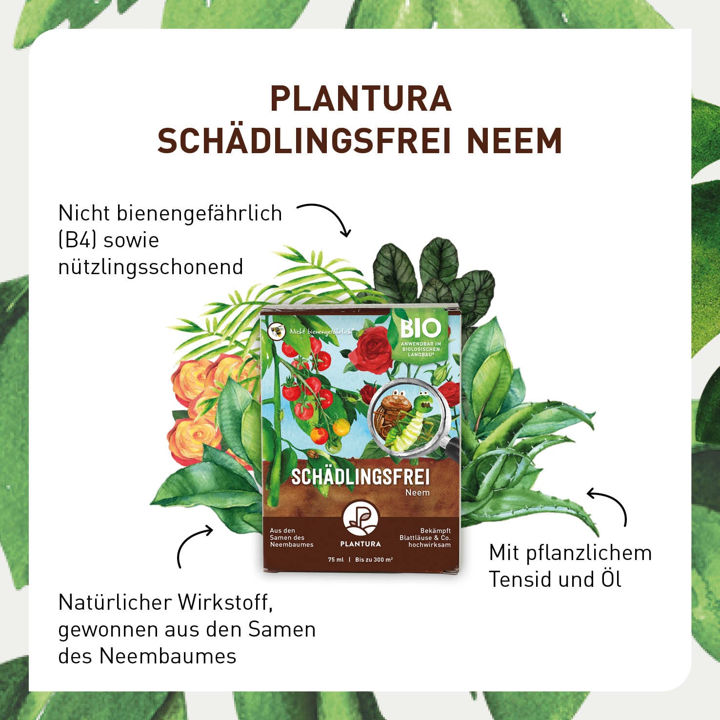 Bio-Mittel Neem gegen Blattläuse von Plantura