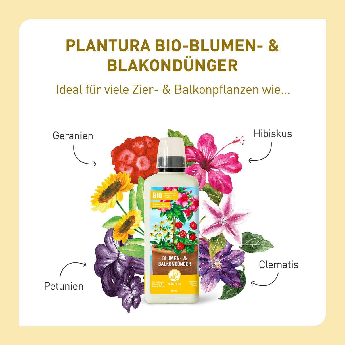 Bio-Blumen- & Balkondünger kaufen