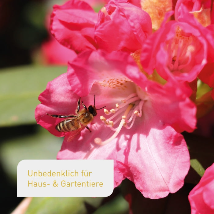 Bio-Blumendünger