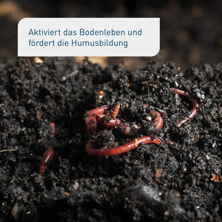 Bio-Bodenaktivator 3 kg (Box)