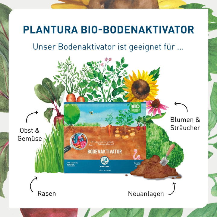 Bio-Bodenaktivator 3 kg (Box)