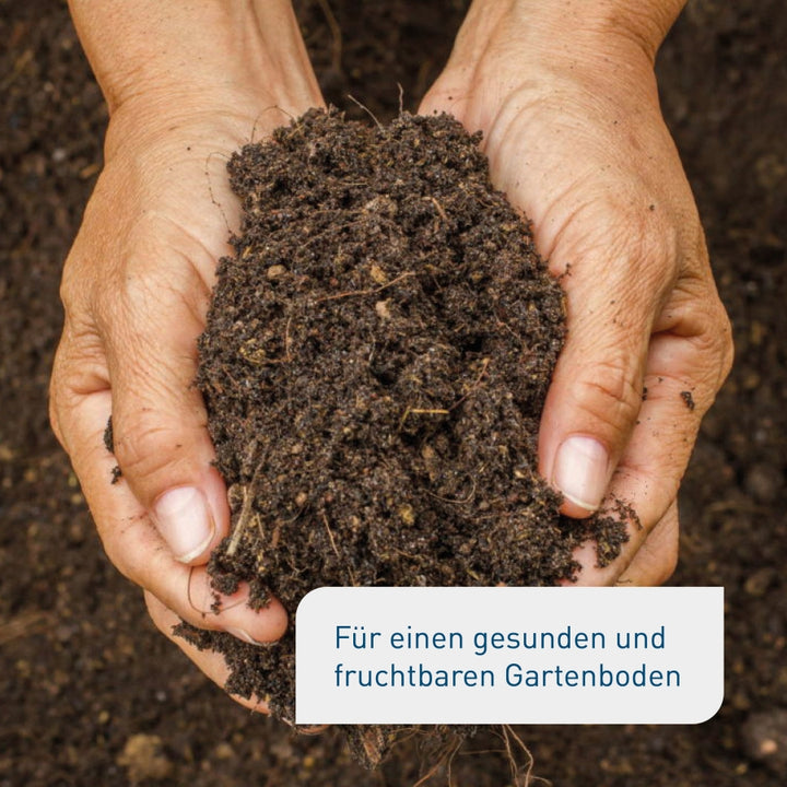 Bio-Bodenaktivator 3 kg (Box)