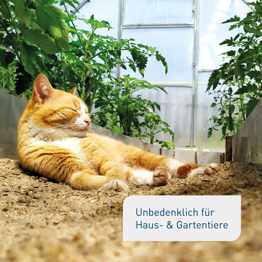Bodenaktivator unbedenklich für Tiere