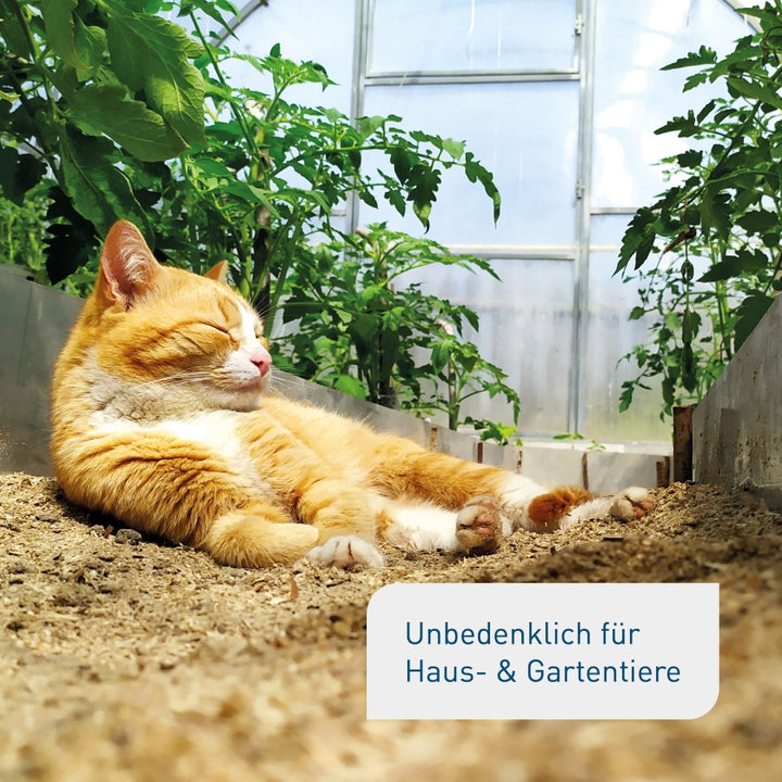 Bodenaktivator unbedenklich für Tiere