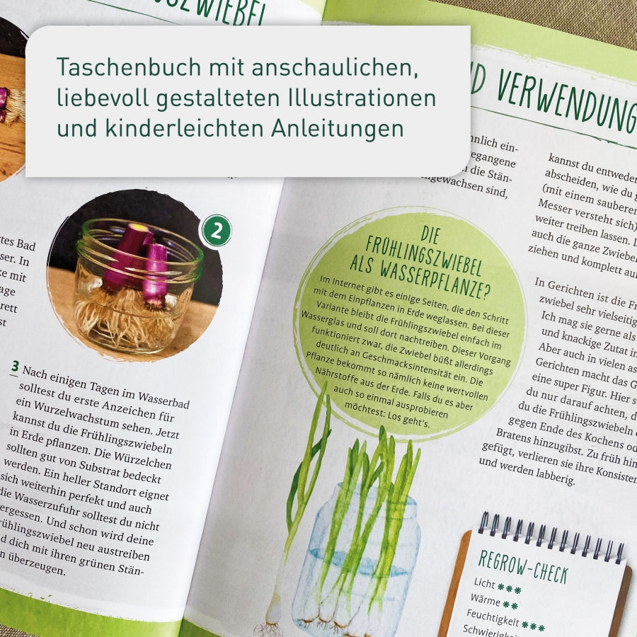 Regrow your Veggies-Taschenbuch