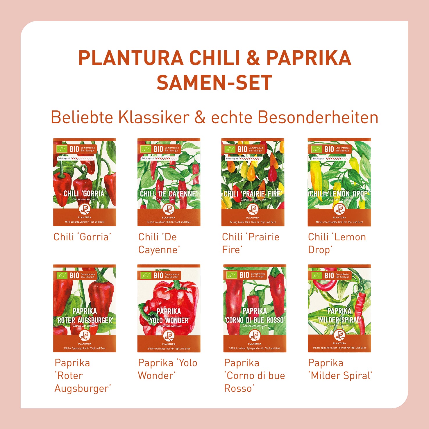 Bio Tabasco Chili Samen – Ca. 10 Samen Für Scharfe Sauce Selbst Anbauen