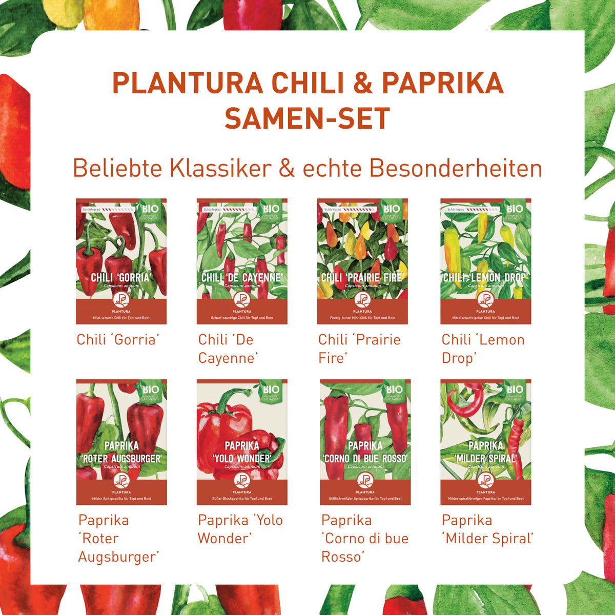 Chili & Paprika Samen-Set mit Bio-Sorten
