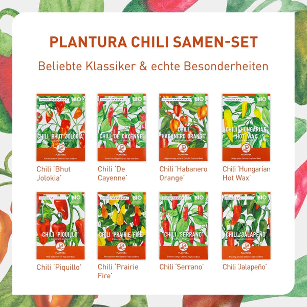 Chili Samen-Set mit Bio-Sorten
