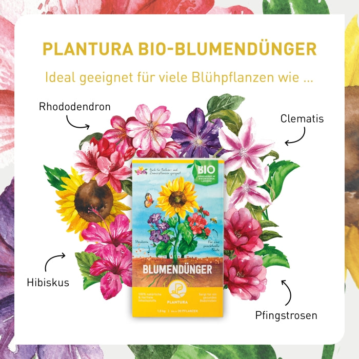 Bio-Dünger für Blühpflanzen
