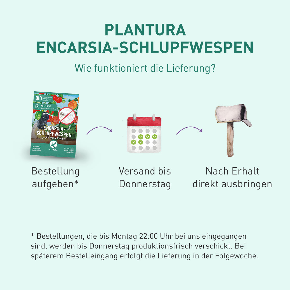 Lieferung Schlupfwespen gegen Weiße Fliegen