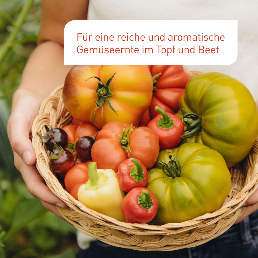 Beste Gemüseerde für eine reiche Ernte