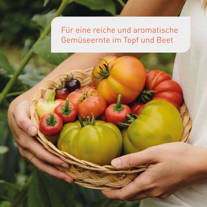 Beste Gemüseerde für eine reiche Ernte