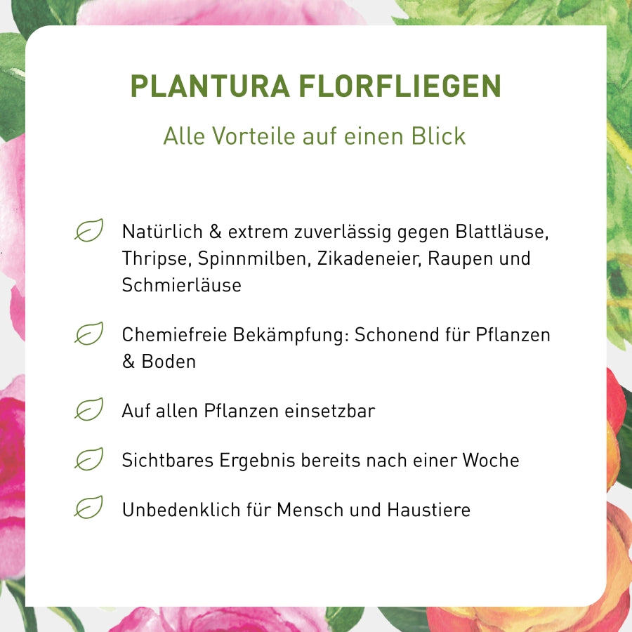 Vorteile von Florfliegenlarven als Nützlinge