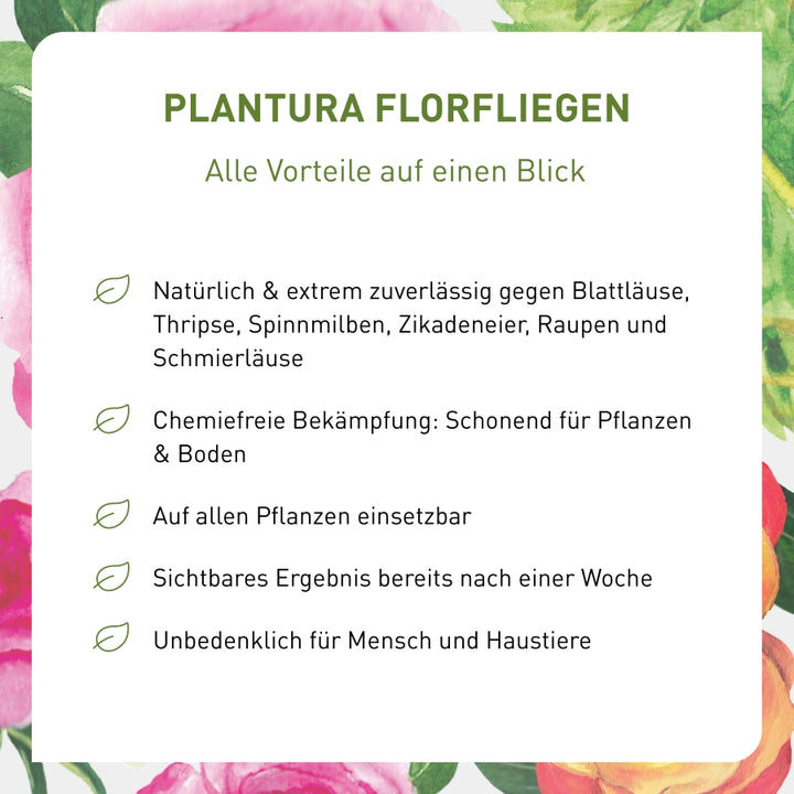 Vorteile von Florfliegenlarven als Nützlinge