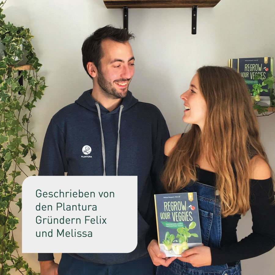 Buch Gemüse Regrowing von den Plantura Gründern