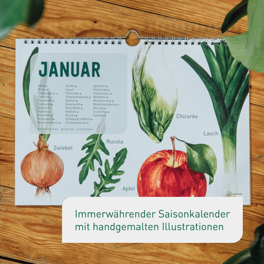 Saisonkalender für Obst & Gemüse kaufen