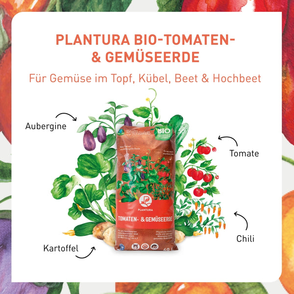 Bio Tomaten- und Gemüseerde für viele Gemüsearten