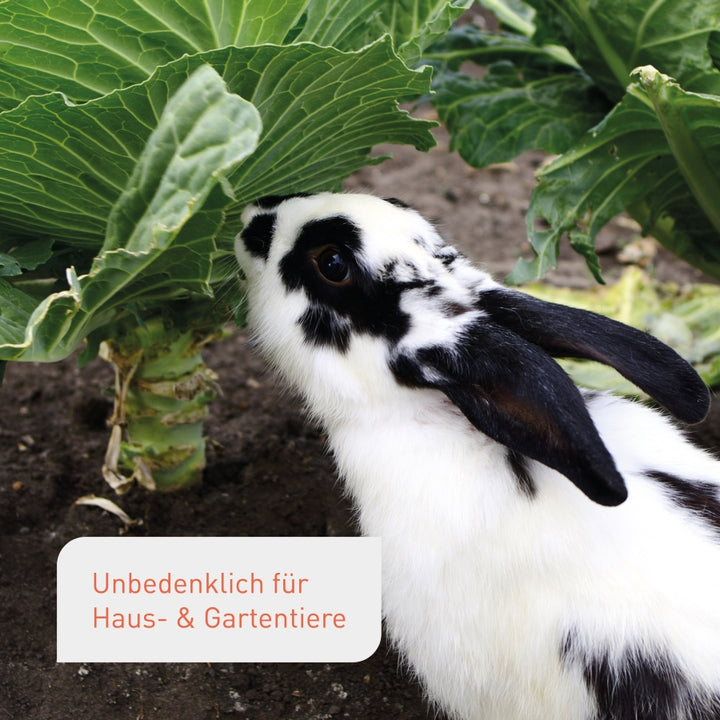 Gemüseerde unbedenklich für Tiere