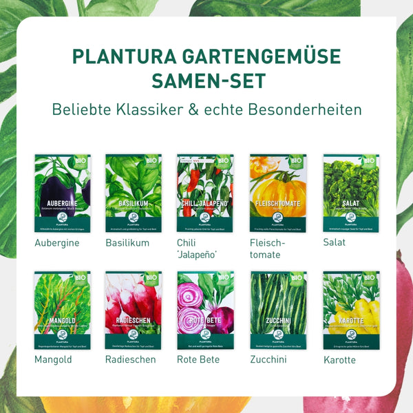 Gartengemüse-Set mit Bio-Sorten