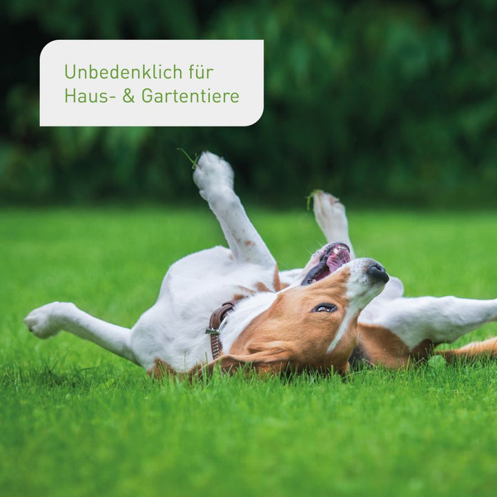 Pflanzlicher Grasdünger unbedenklich für Tiere