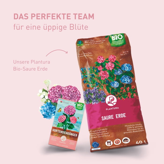 Bio-Hortensiendünger kaufen