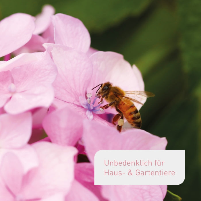 Bio-Hortensiendünger kaufen