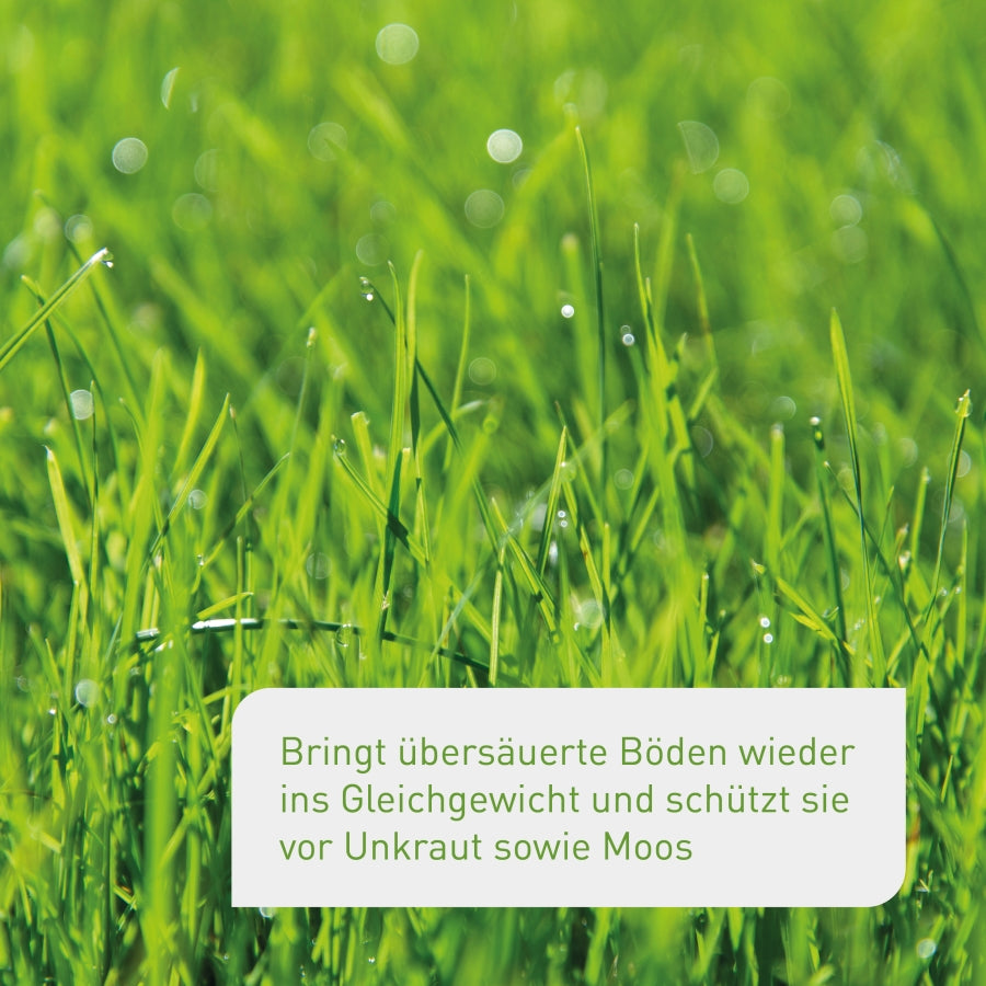 Rasenkalk für übersäuerte Böden